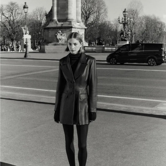 Massimo Dutti Leather Blazer - Picture 6 of 14